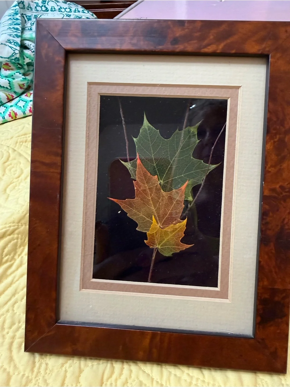 Neutral Framed Leaf Wall Art Set - Cream and Brown Lot 3